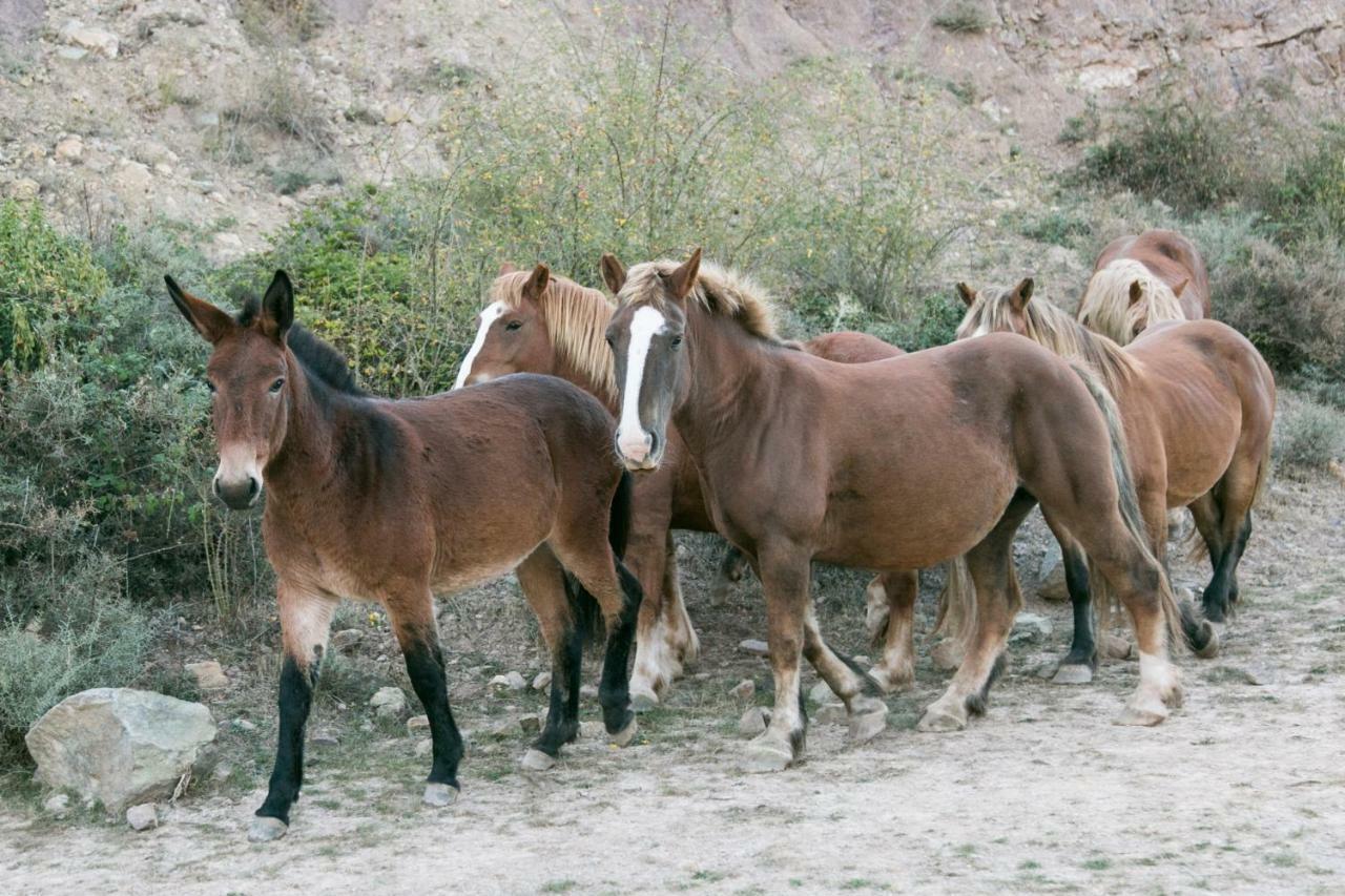 La Posada De Ajamil Dış mekan fotoğraf
