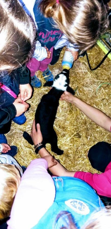 La Posada De Ajamil Dış mekan fotoğraf